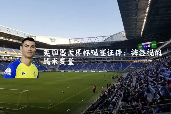 美加墨世界杯观赛证件：被忽视的战术变量