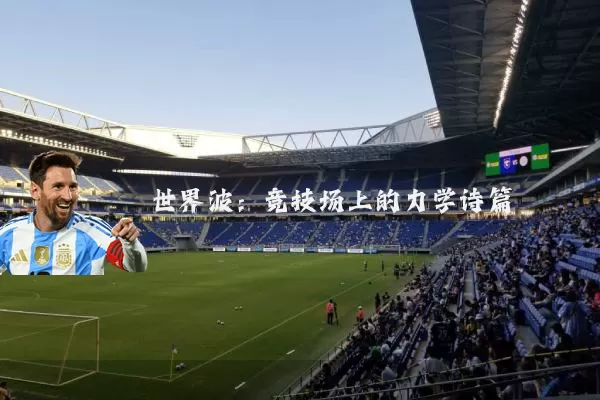 世界波:竞技场上的力学诗篇